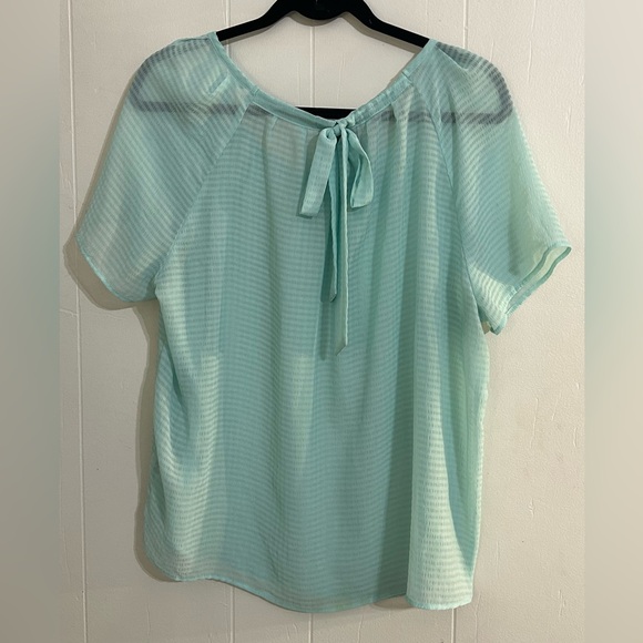 a.n.a Robin’s egg blue sheer top - Size Large - tie detail in the back - striped - Picture 2 of 6